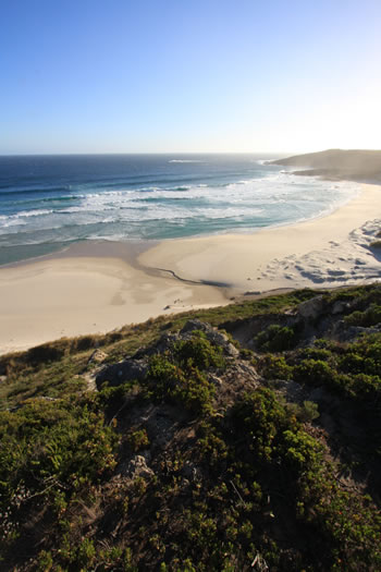Conspicuous Cliff Beach