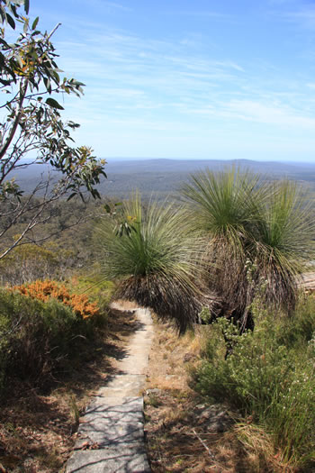 Centre Road Campground